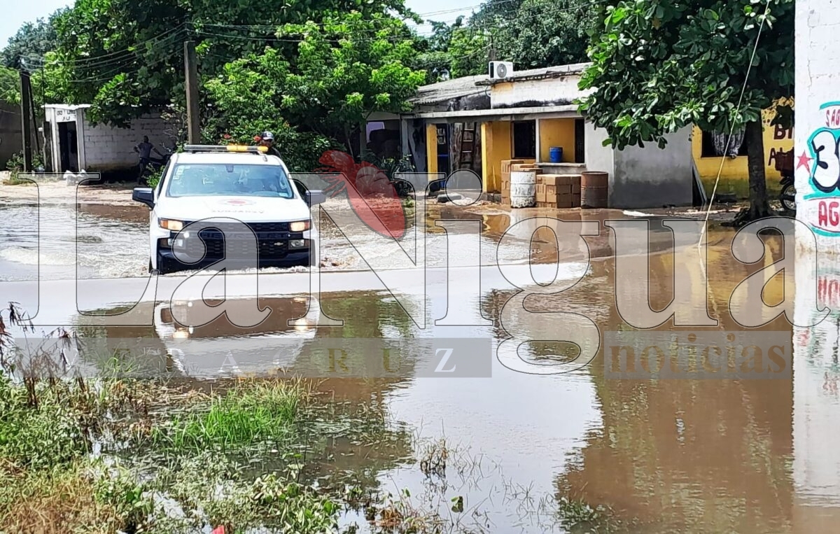 Más de 300 vivienda de San Juan Evangelista fueron impactadas por inundaciones 2 img 20250808 wa00743964785088128271527