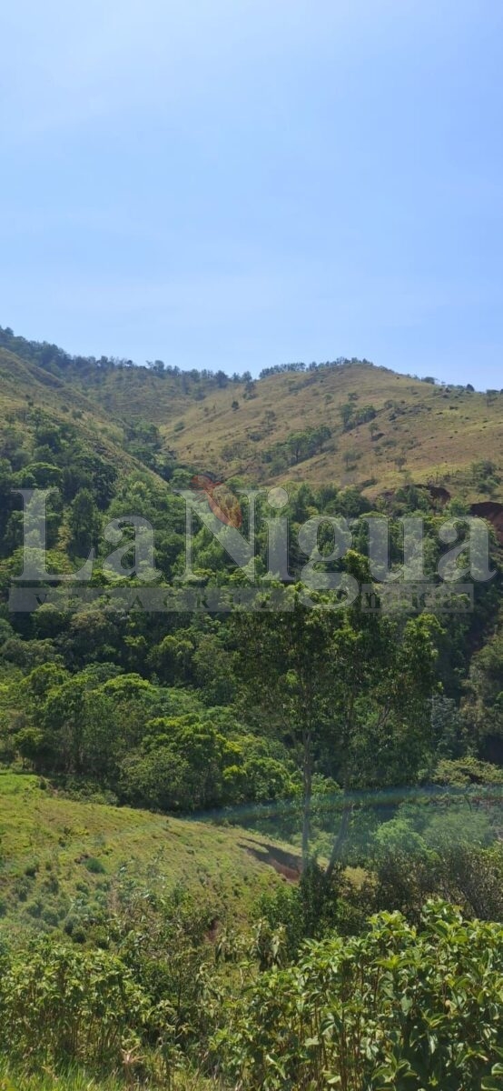 Invitan a aventura ecoturística rumbo al Cerro Santa Martha 17 img 20250808 wa01341659079234577189932