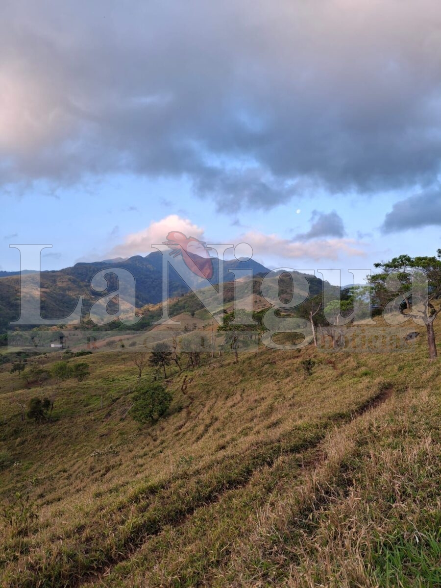 Invitan a aventura ecoturística rumbo al Cerro Santa Martha 4 img 20250808 wa01433188542739197254011