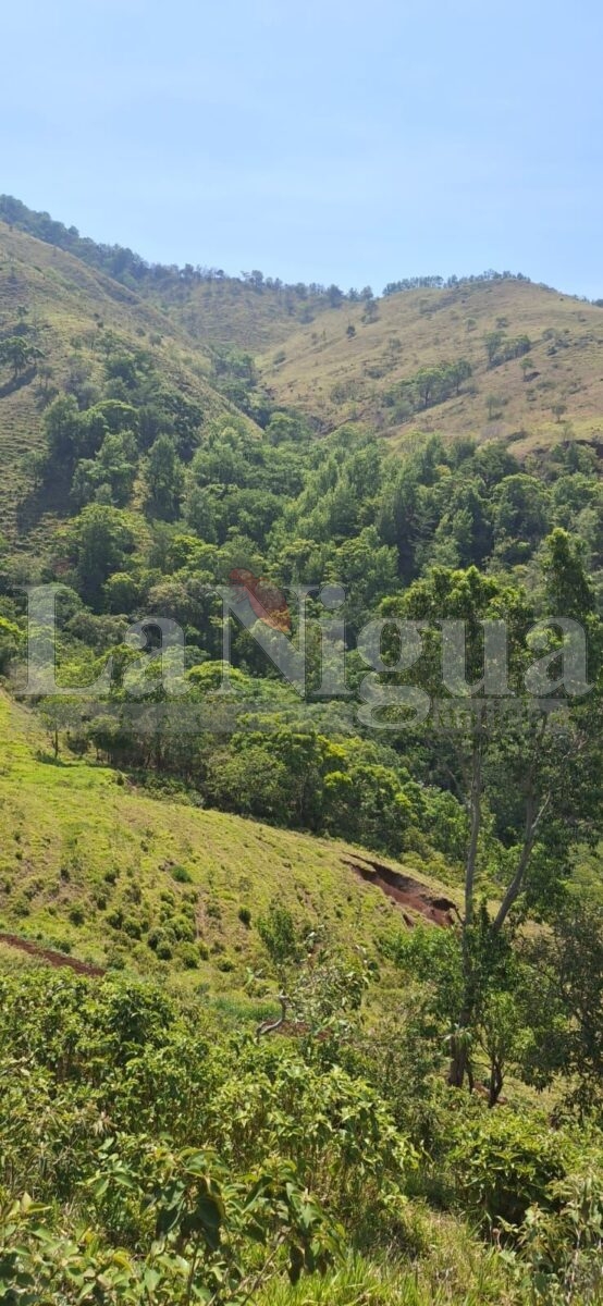 Invitan a aventura ecoturística rumbo al Cerro Santa Martha 5 img 20250808 wa01461296581082154713190