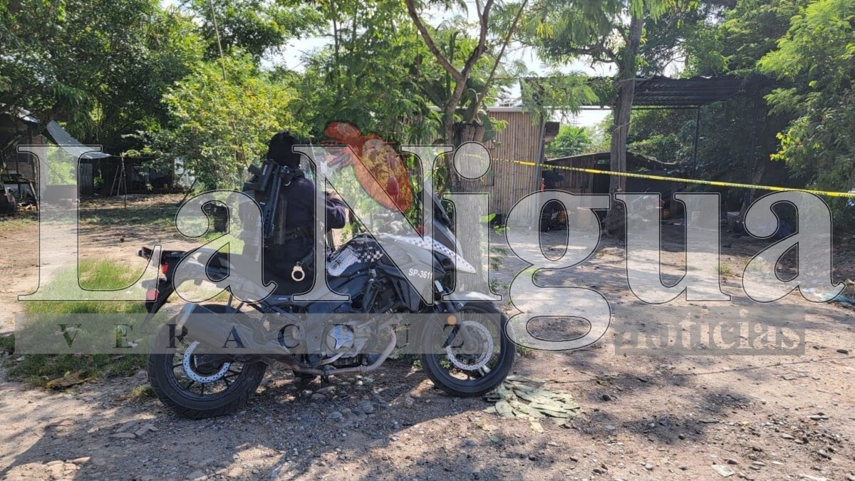 Asestan autoridades golpe al tráfico ilícito de combustible en Papantla 1 img 20250810 wa0038784674510100216505