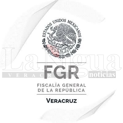 RESULTADOS DE FGR DURANTE EL MES DE JULIO DE 2025 EN EL ESTADO DE VERACRUZ 6 img 20250812 wa00806417770793762051370