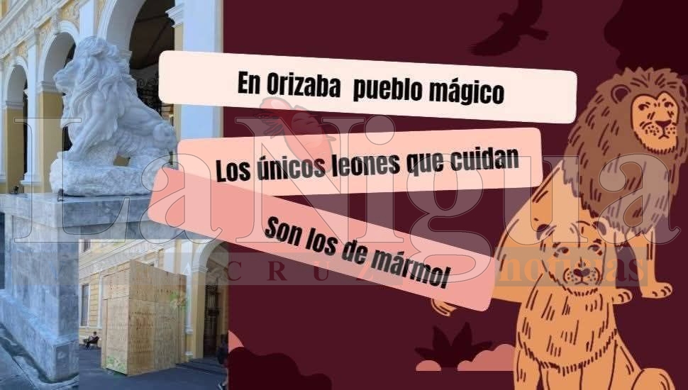 Exigen investigar muerte de león en el Paseo del Río de Orizaba 8 img 20250819 wa00011644645780473825758