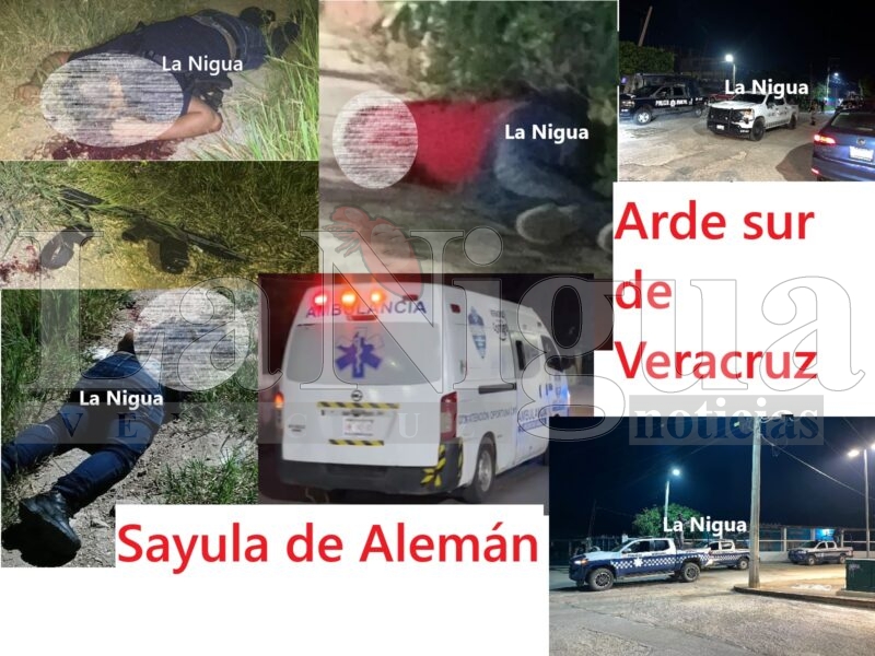 sayula 1