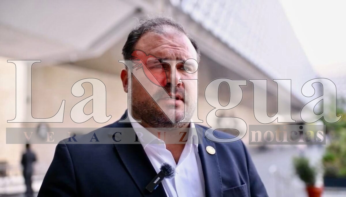 Resultados del primer año de gobierno de Sheinbaum consolidan la transformación: Adrián González Naveda