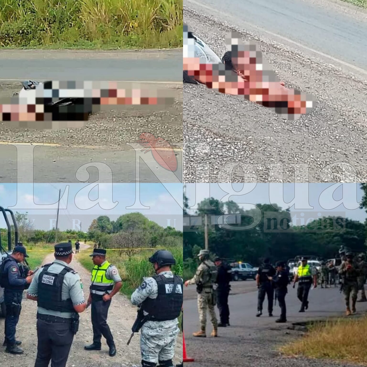Hallan restos humanos en el crucero Potrero del Llano–Álamo–Tepetzintla