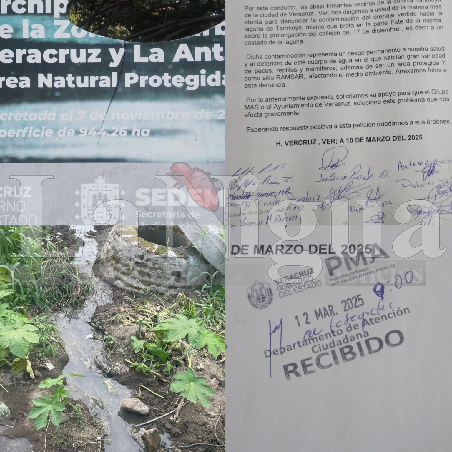 CONTAMINA GRUPO MAS LAGUNAS DE TARIMOYA Y LAGARTOS