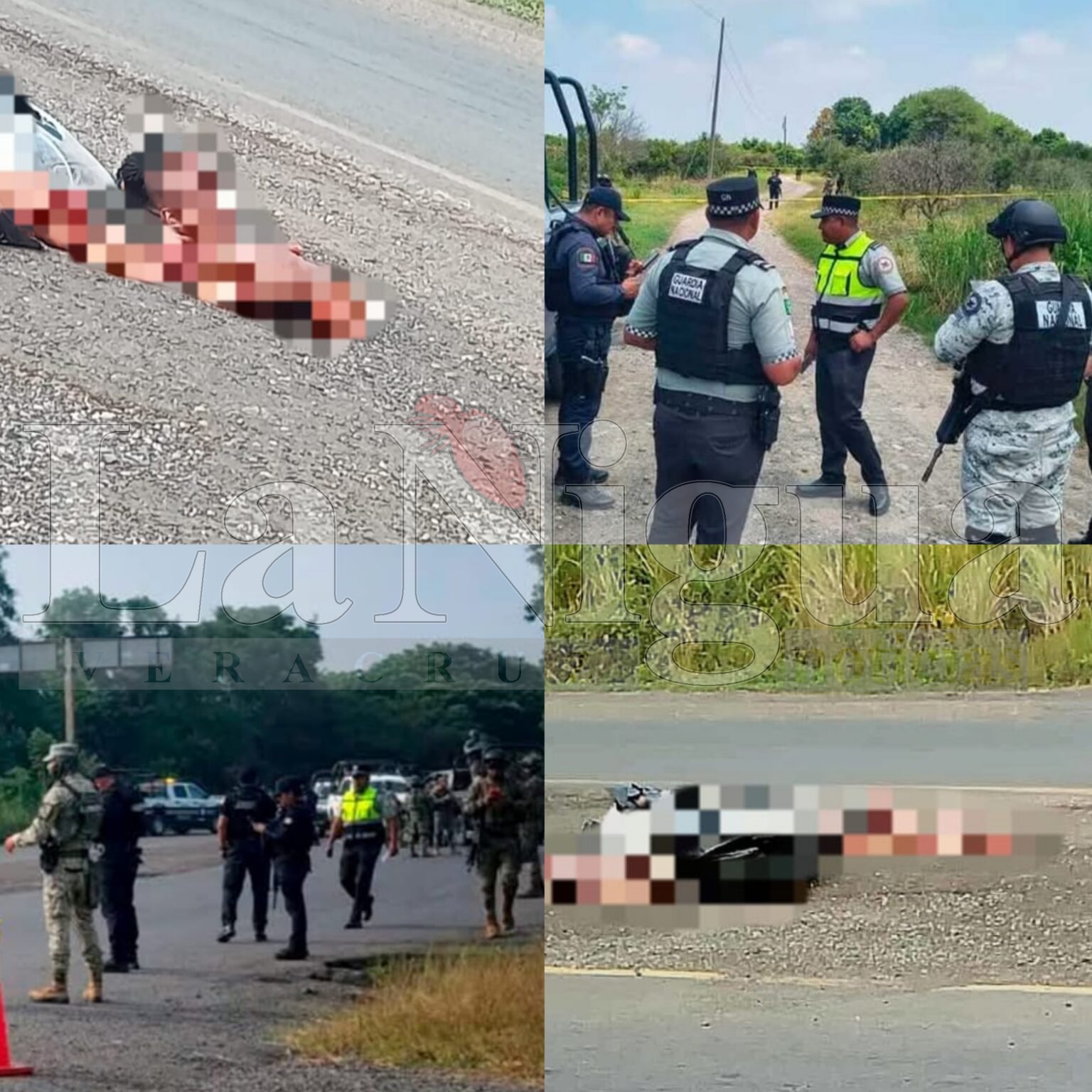 Identifican a las personas descuartizadas localizadas en Álamo