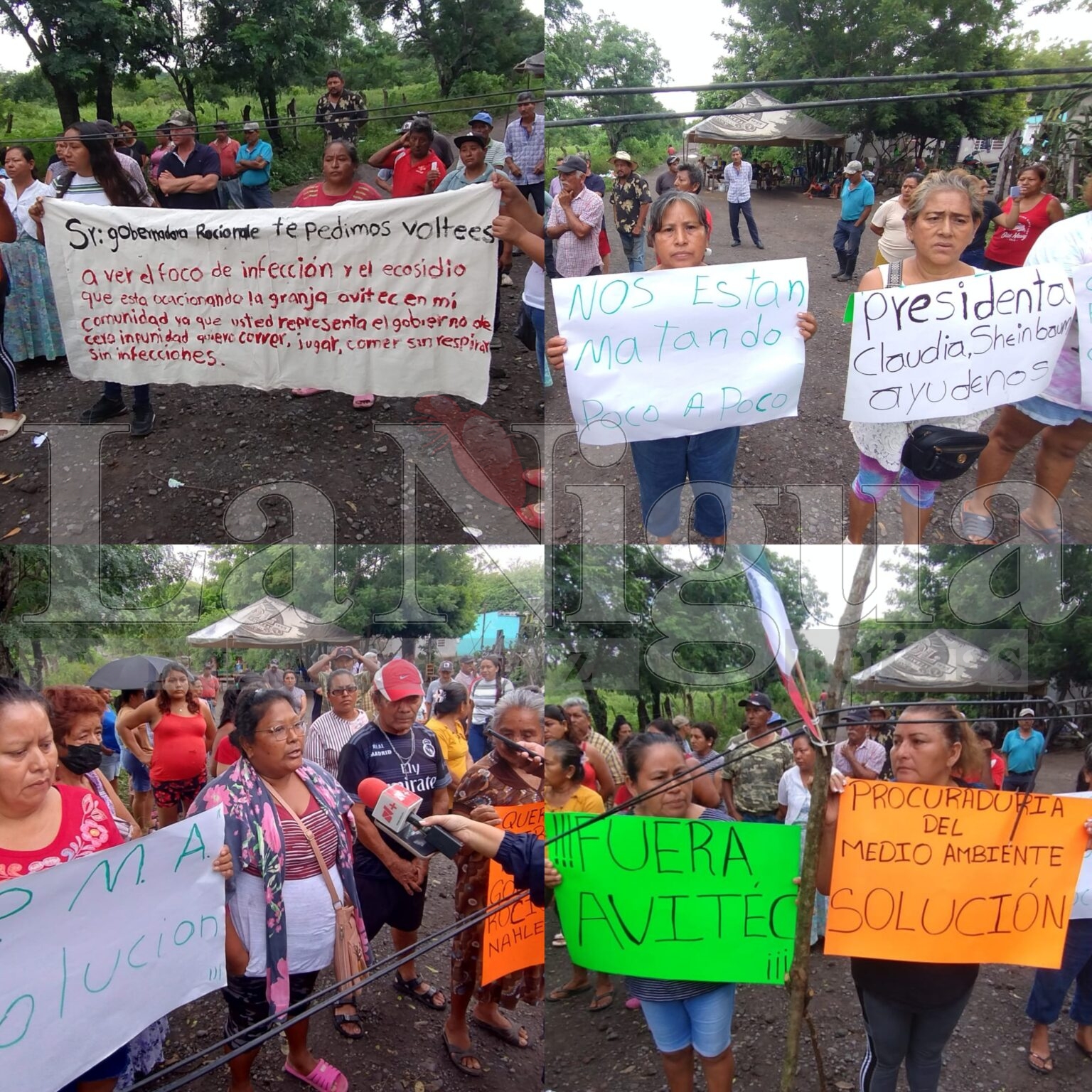 SESVER clausura granja avícola en Soledad de Doblado; manifestantes se quejan de alcaldesa Polish 20250913 142205439