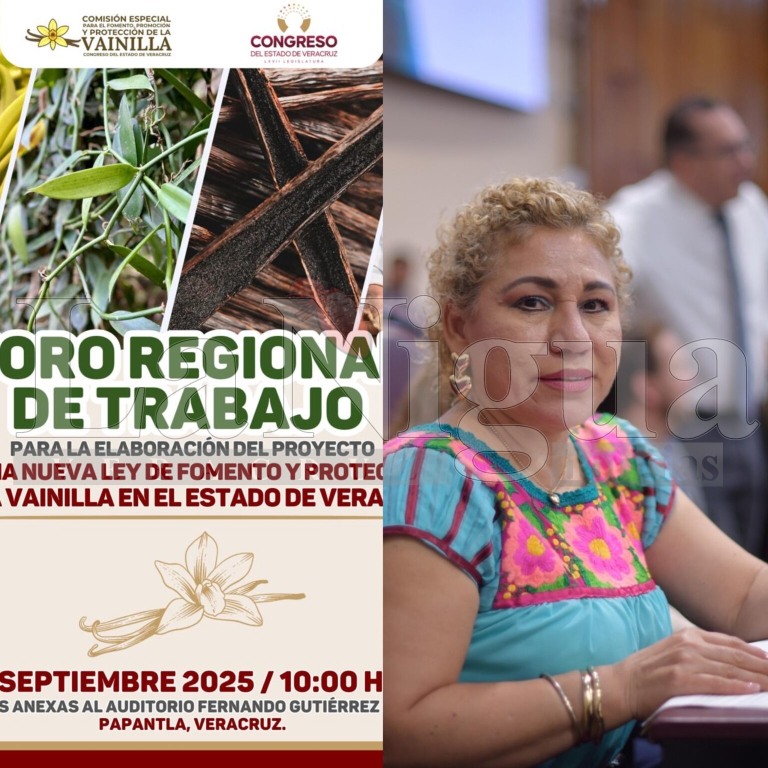 Anuncia diputada foros regionales para elaborar nueva Ley de la Vainilla