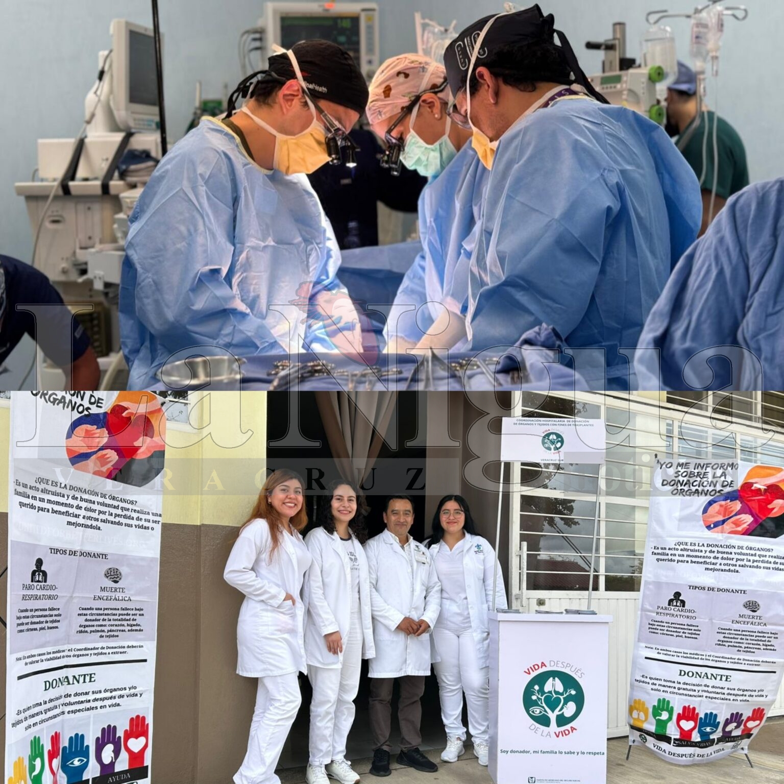 Promueve IMSS Veracruz Sur donación de órganos