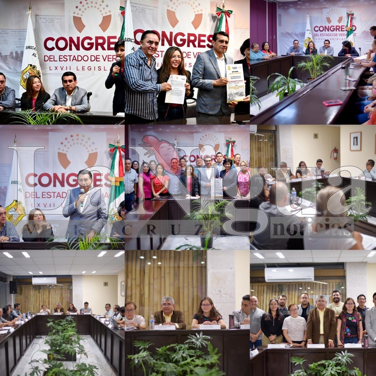 Analizan propuestas para crear iniciativa de Ley de Movilidad y Seguridad Vial