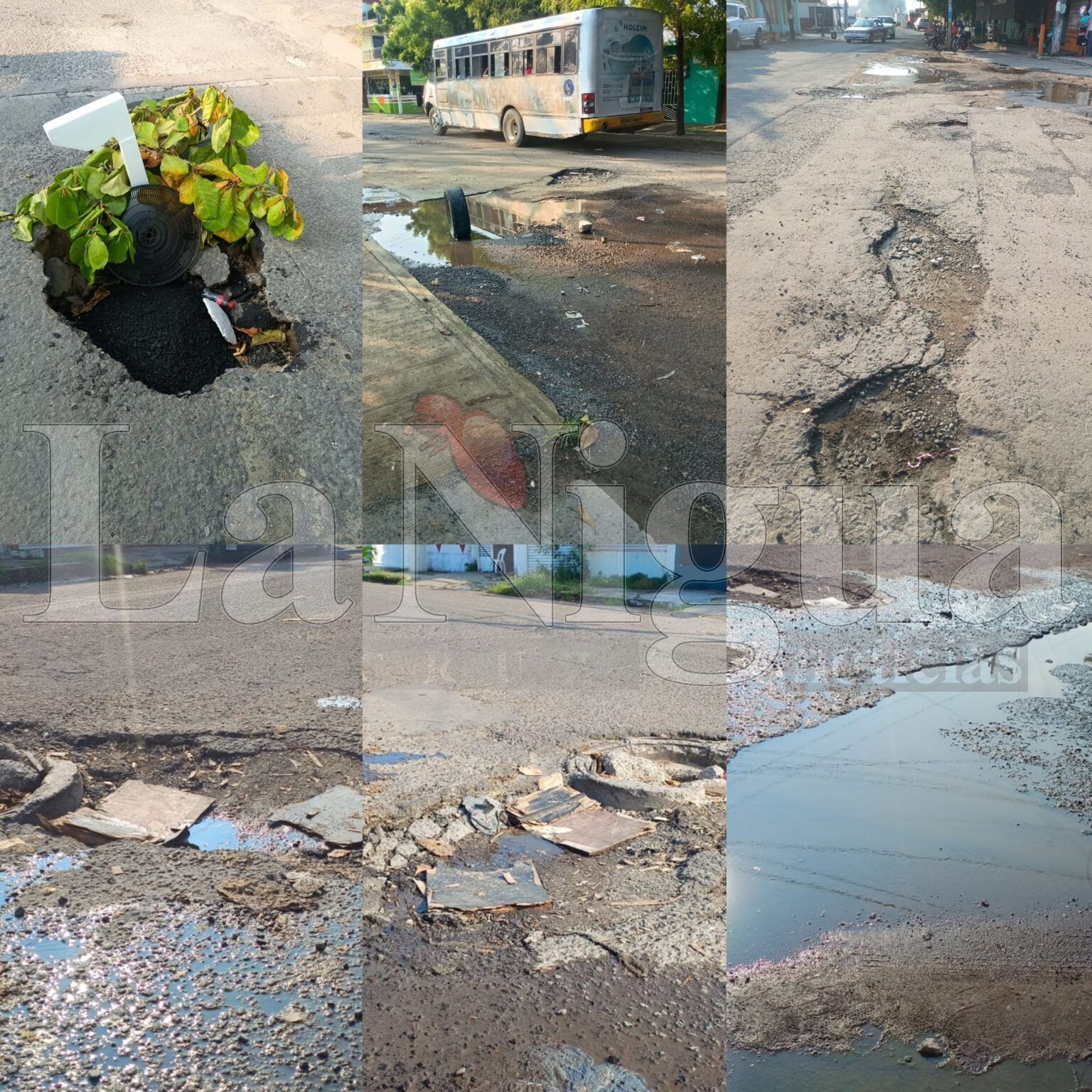 SOS para la avenida Veracruz, trampa mortal para automovilistas y transeúntes