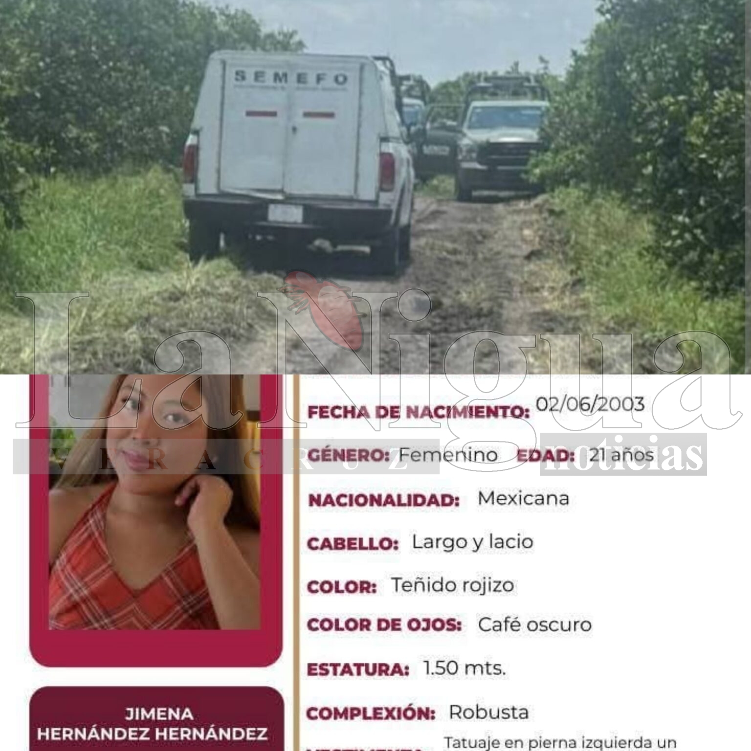 Confirman la identidad de otra mujer entre restos hallados en Álamo