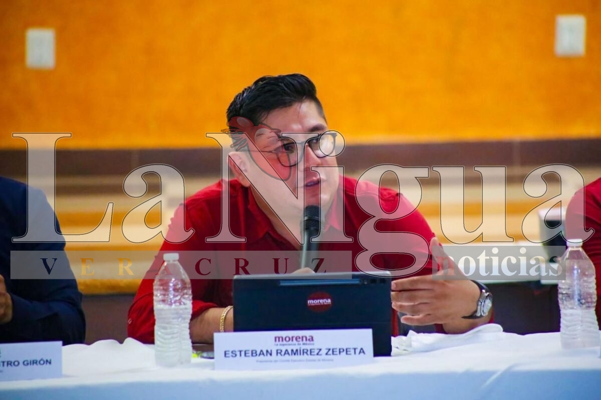 Morena instala más de 2 mil comités seccionales en Veracruz