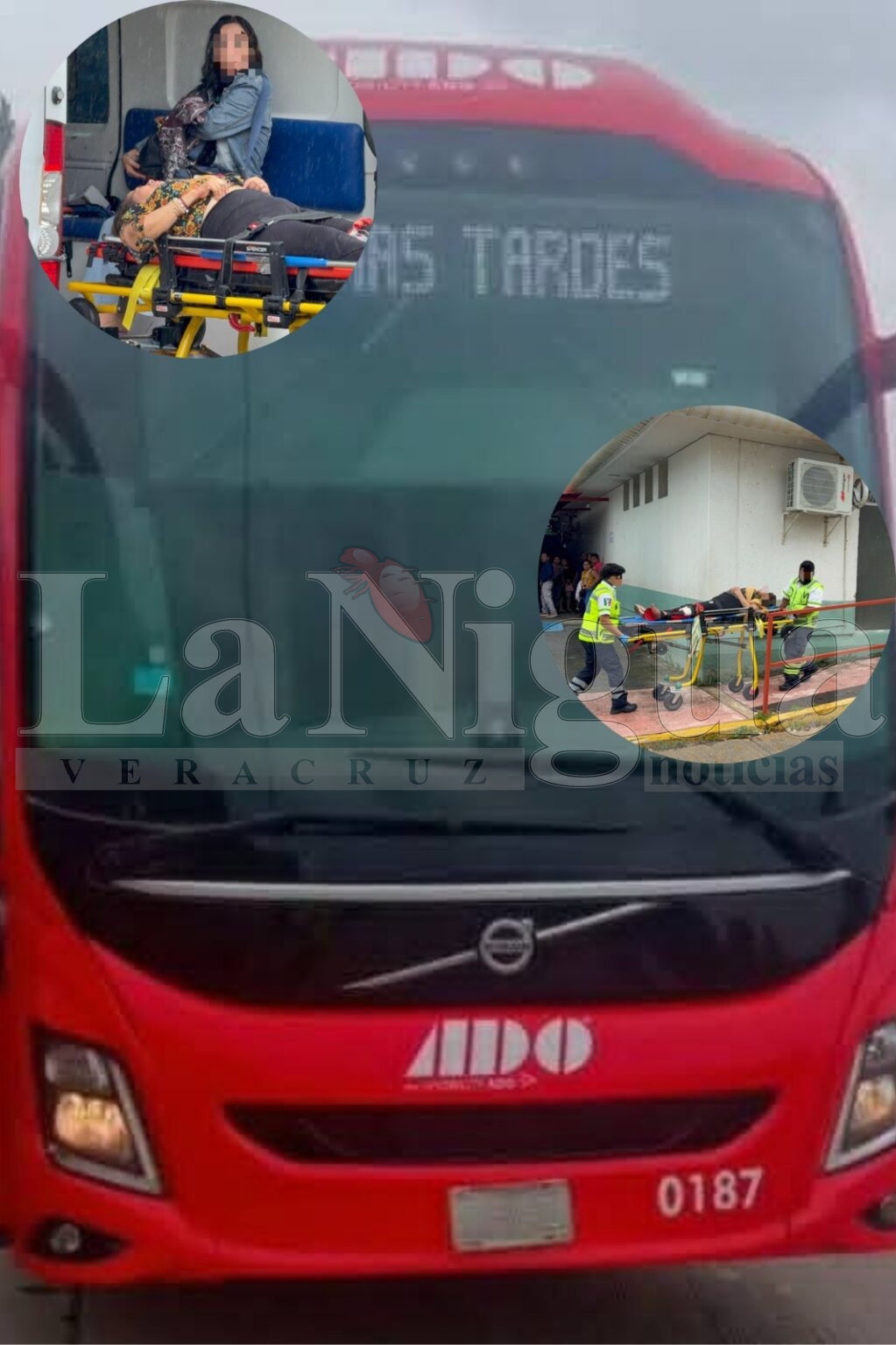 Maestras heridas por balas perdidas son trasladadas al puerto de Veracruz; permanecen delicadas.