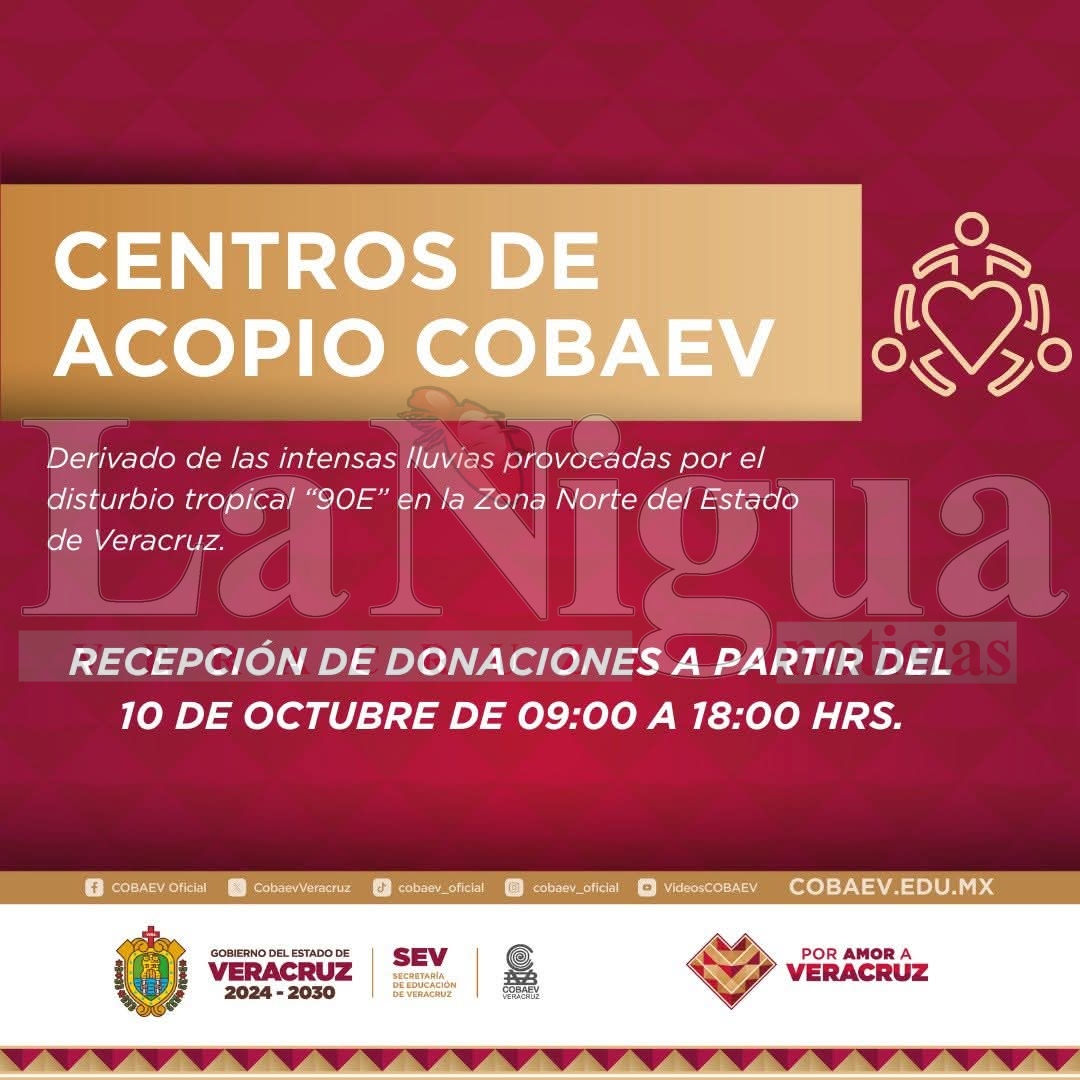 <br>COBAEV 53 Zaragoza instala centro de acopio para apoyar a familias afectadas por las lluvias en el norte del estado 1 IMG 20251010 WA0067