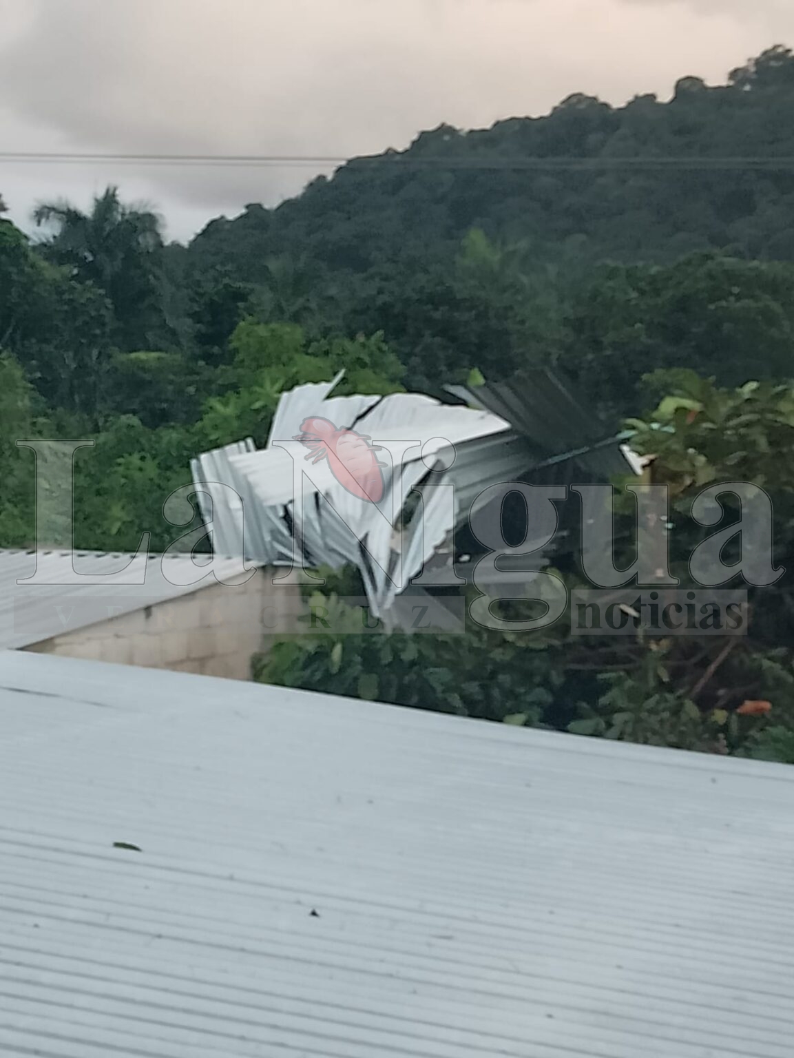 Torbellino causa daños en al menos 15 viviendas en Amatlán de los Reyes