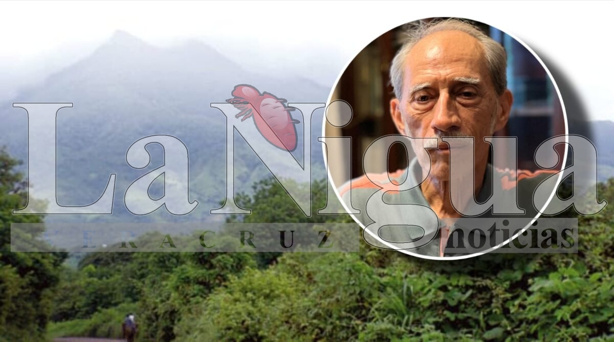 Se extingue la Reserva de la Biosfera de Los Tuxtlas; Deforestación sigue latente