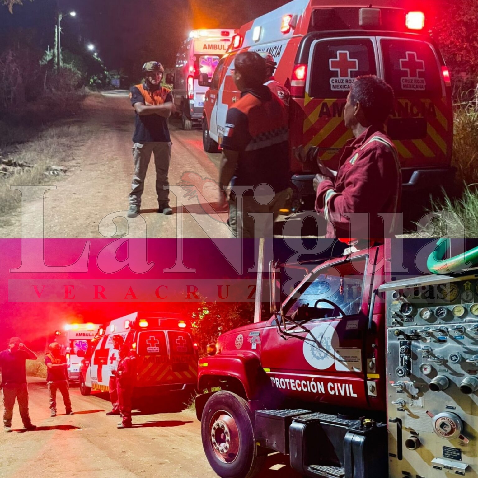 Cruz Roja Acayucan rescata a adultos mayores y mascota atrapados por abejas africanas.