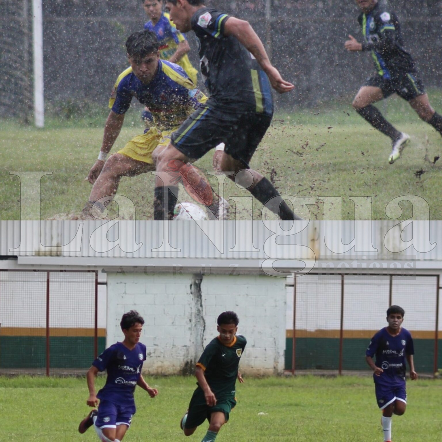 Caballeros contra Delfinesde Coatza en el Murillo Vidal