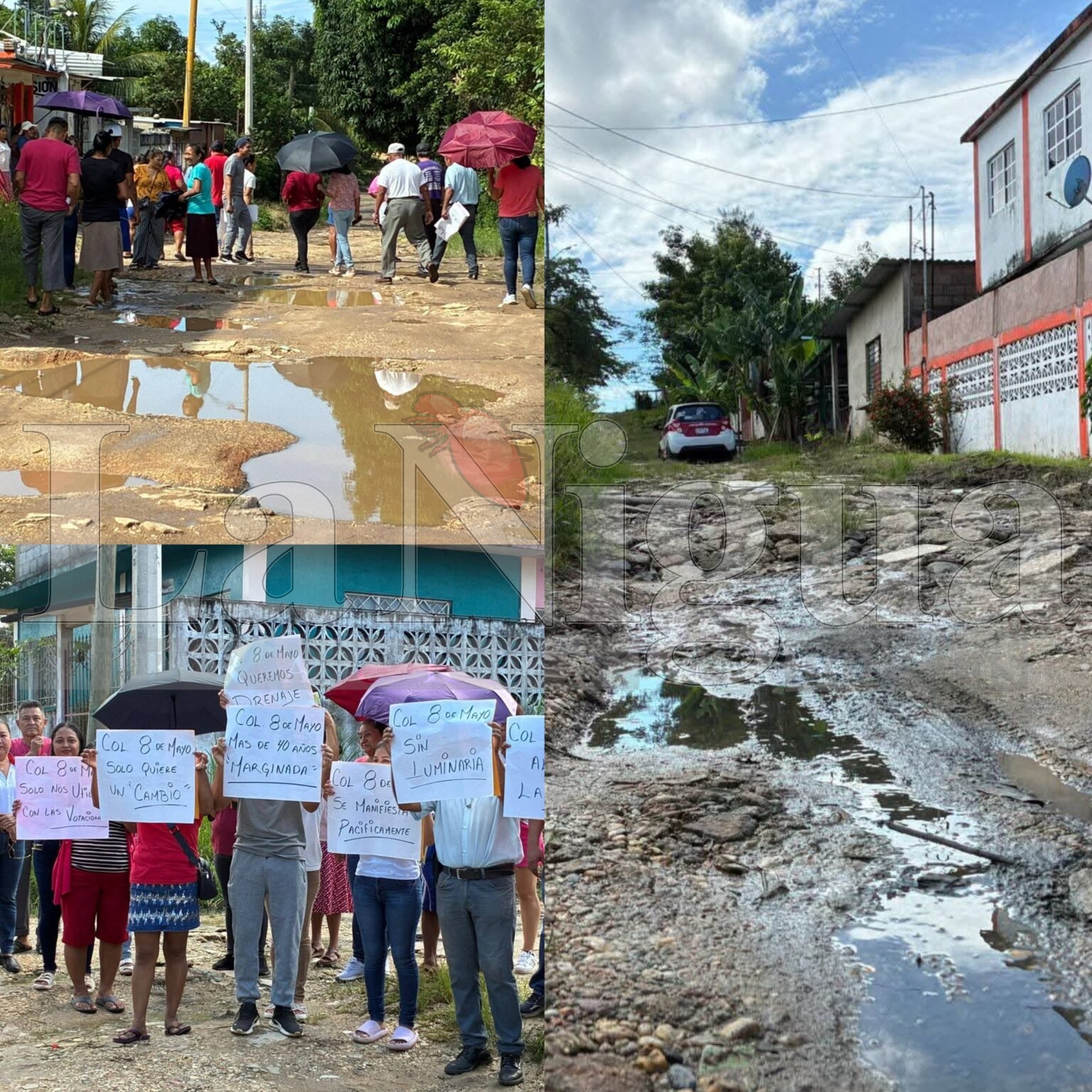 Vecinos de la colonia 8 de Mayo en Minatitlán exigen servicios básicos tras 40 años de abandono.