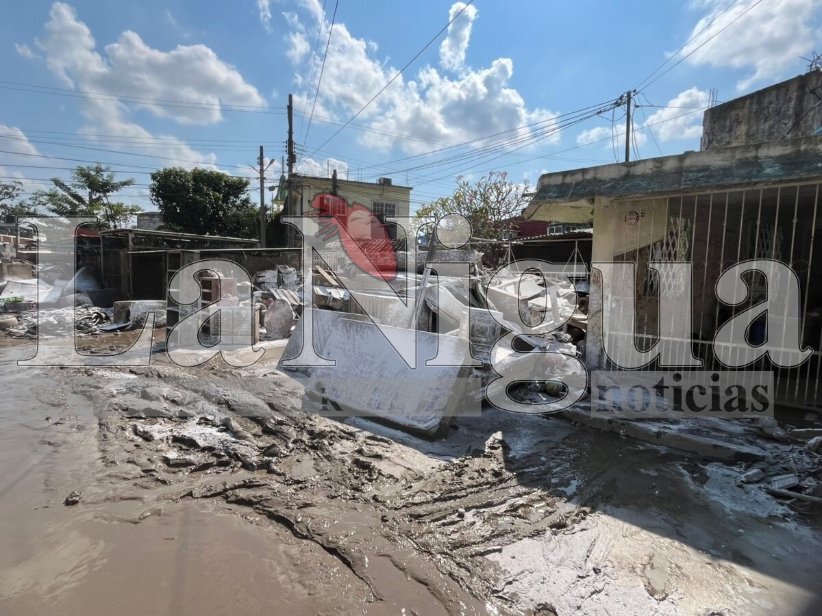 Nueve días después del desbordamiento, Gaviotas 1 sigue sin apoyo oficial 6 img 20251018 wa01075158422594350396375