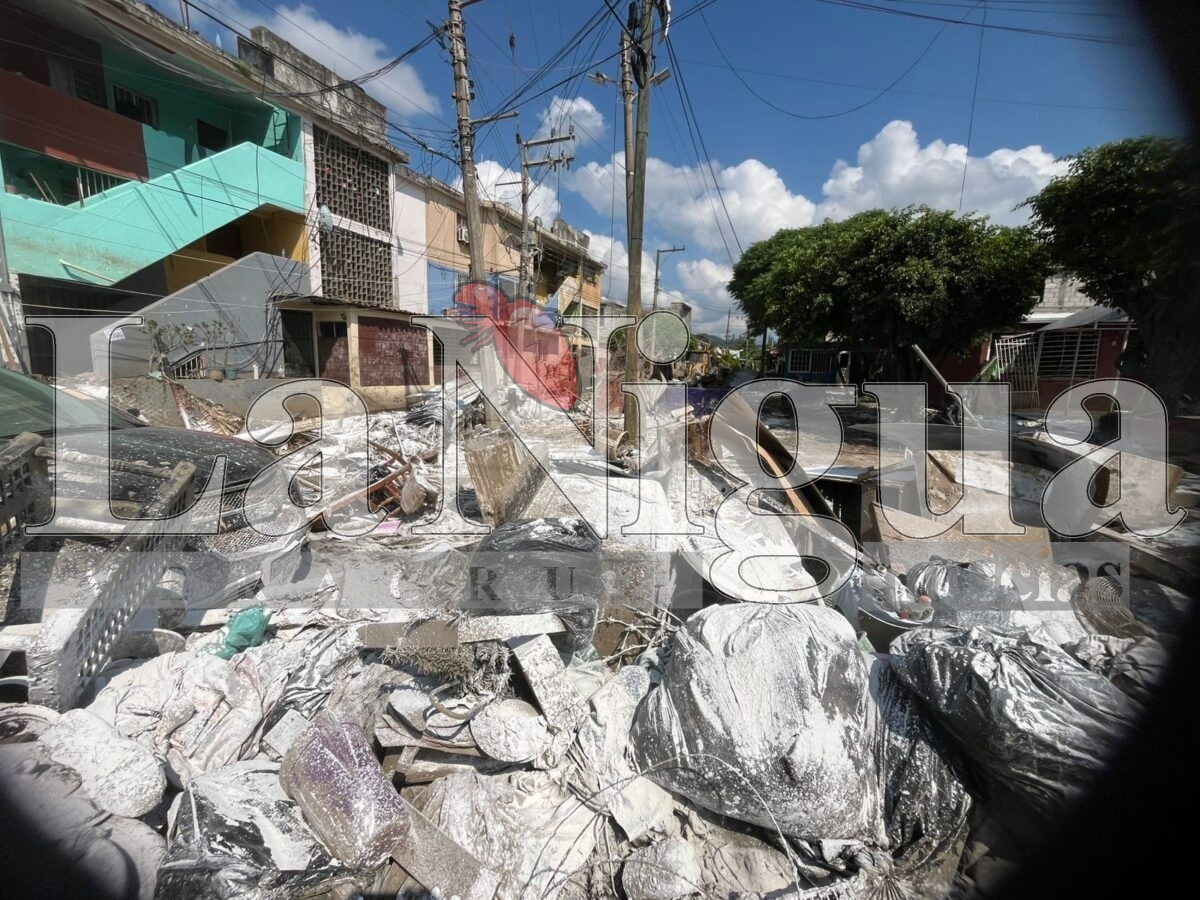Nueve días después del desbordamiento, Gaviotas 1 sigue sin apoyo oficial 16 img 20251018 wa01192895614803518683862