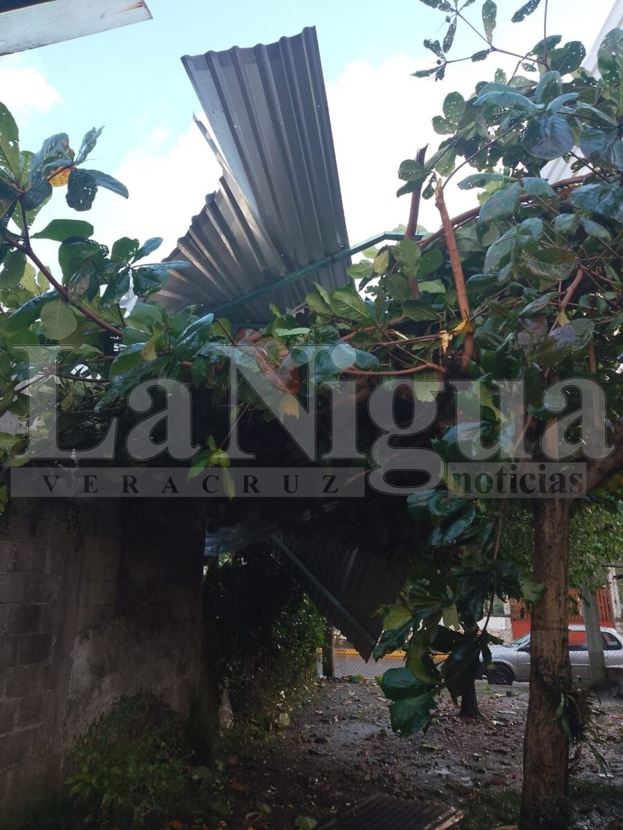 Torbellino causa daños en al menos 15 viviendas en Amatlán de los Reyes 1 img 20251022 wa01825184058172503468152