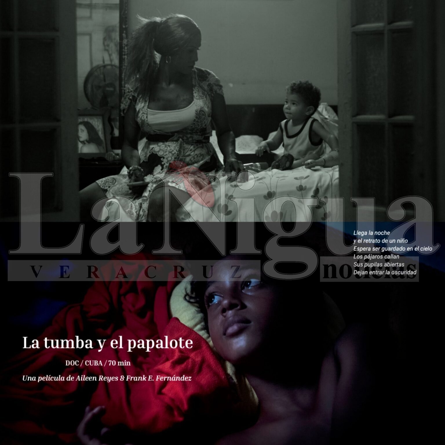 Cineastas cubanas harán escala en Veracruz previo a su participación en Festival Documental de CDMX