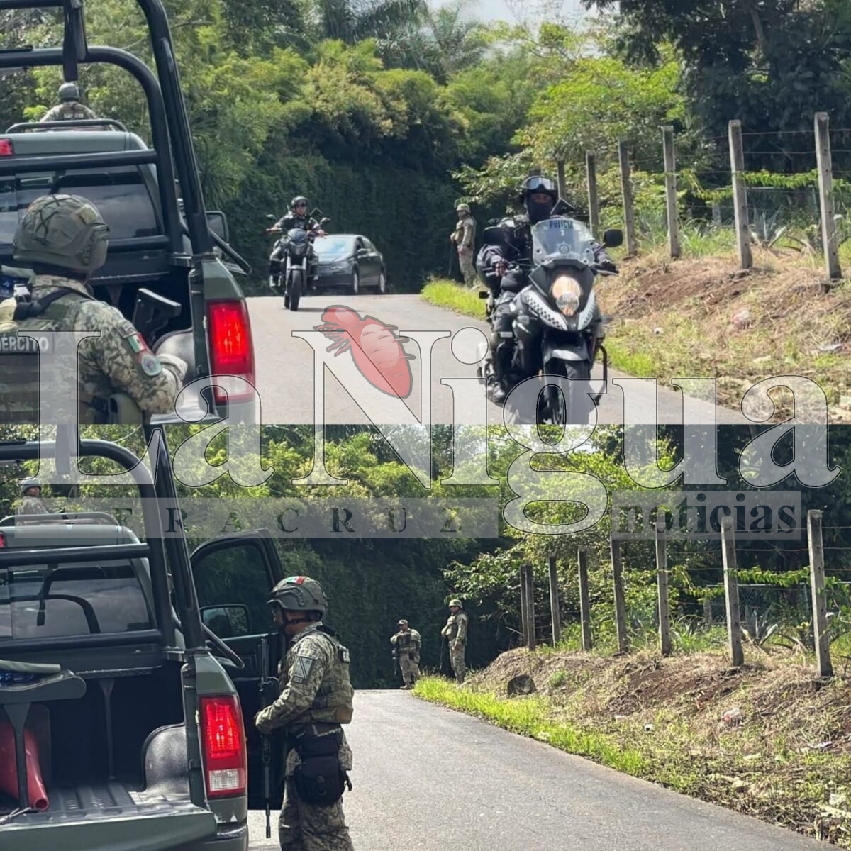 Balacera por tala clandestina deja un muerto y dos heridos en Calcahualco 1 polish 20251018 1121312885356481548440314822