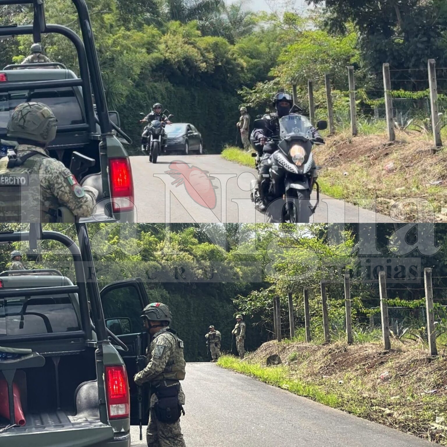 Balacera por tala clandestina deja un muerto y dos heridos en Calcahualco