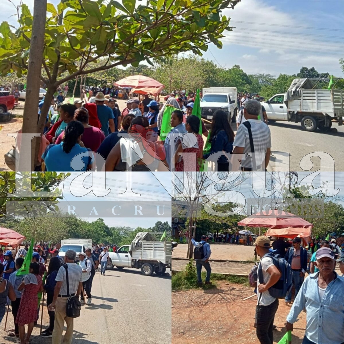 #Tuxtepec Militantes de la organización social #CODECI toman las oficinas de la vise fiscalía de la región de la cuenca del Papaloapan en Oaxaca 1 polish 20251021 1326296621708599246359388062