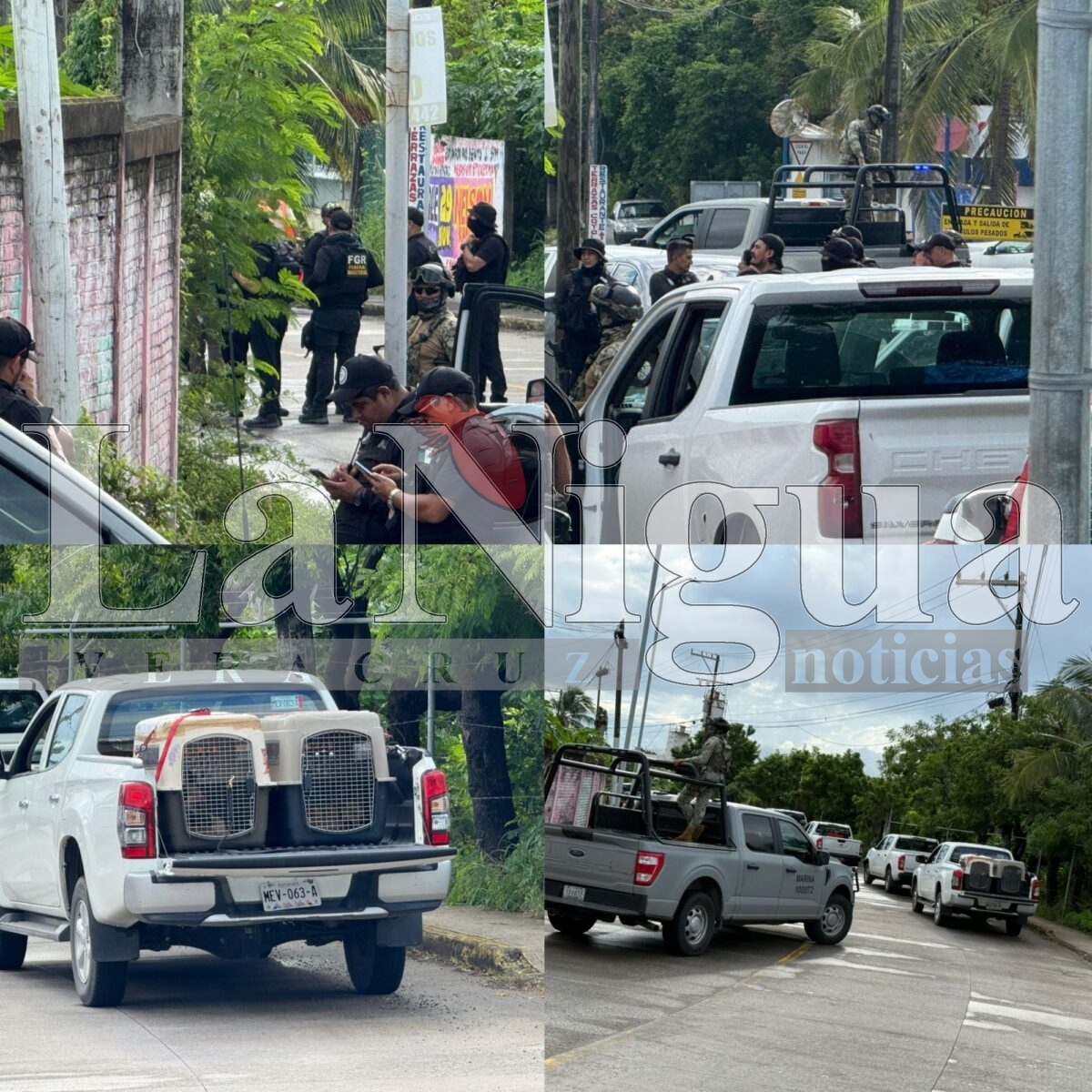 Operativo de Marina y FGR en corralón del Coyol moviliza a corporaciones en Veracruz 1 polish 20251022 0924235888068244722915614825