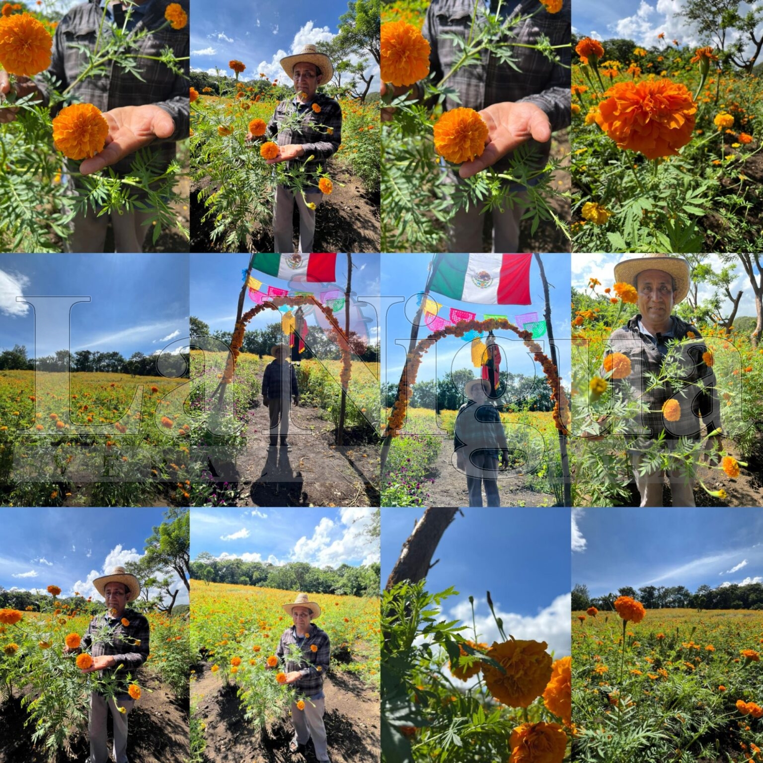 El legado de don Álvaro: 16 años de cempasúchil en Catemaco