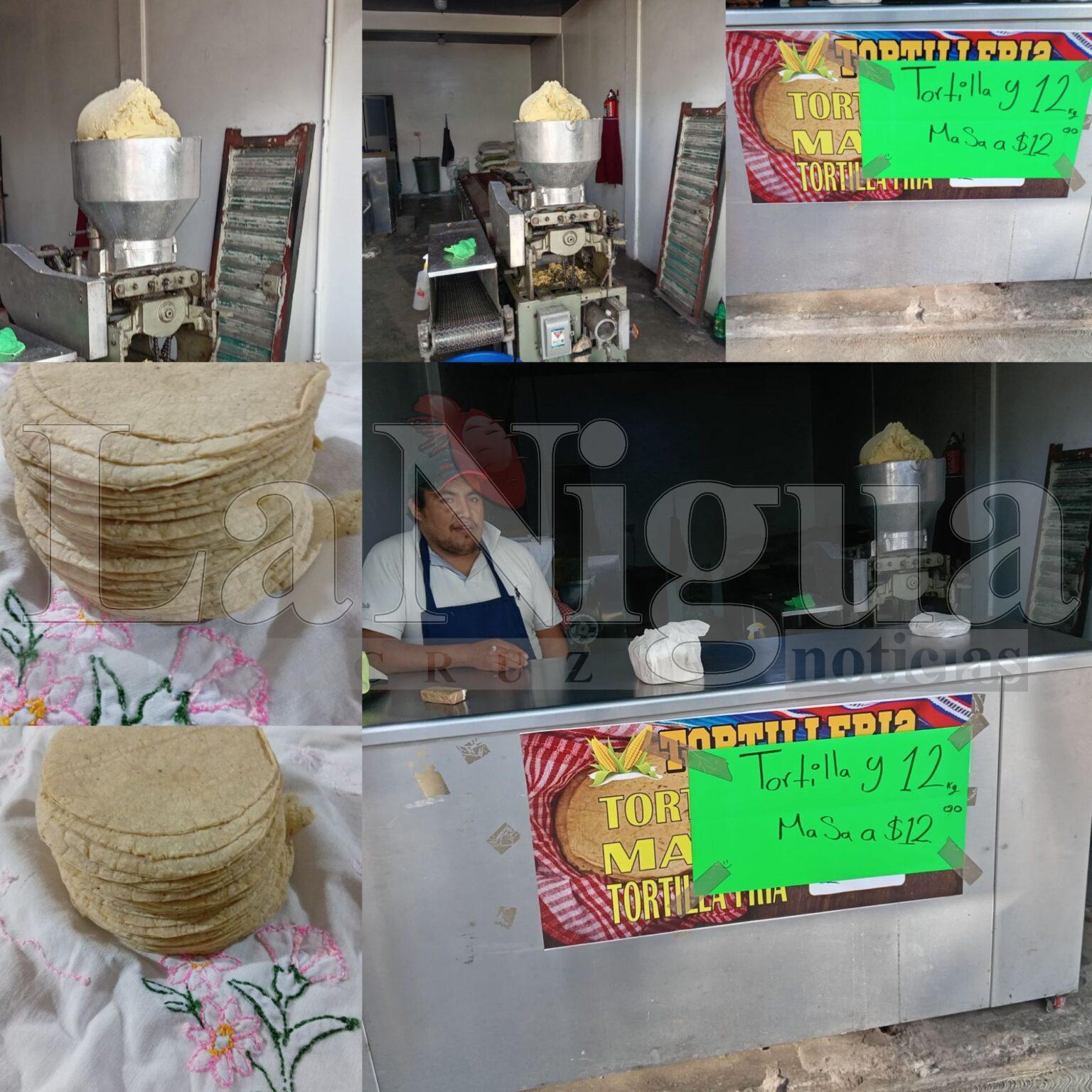 Baja el precio de la tortilla en Xalapa: amas de casa celebran reducción del 25%