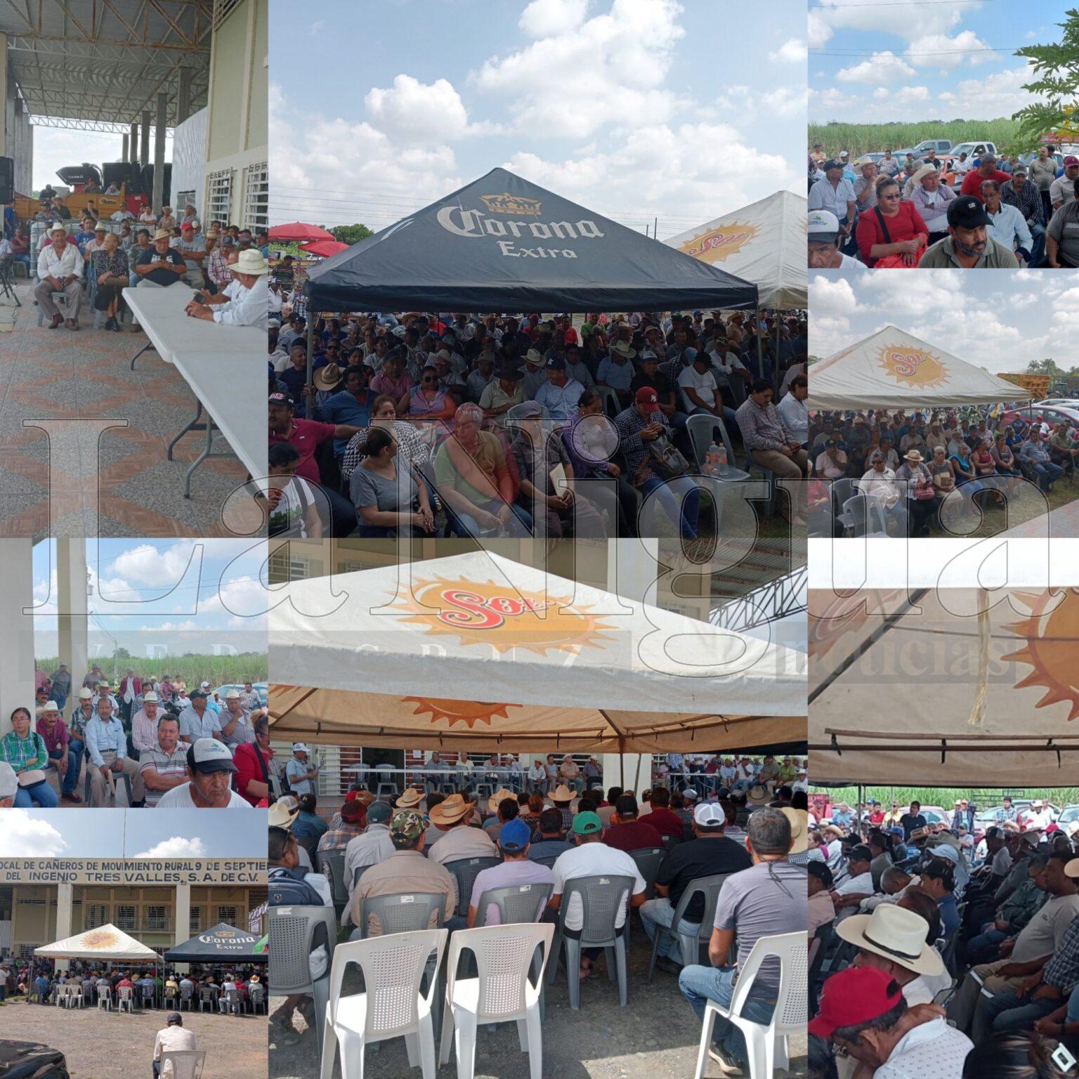 Marcharán 300 productores de caña de azúcar a la SADER en CdMx. 10 de Noviembre, la fecha. Podrían unirse al movimiento agrícola de sorgo y maíz.