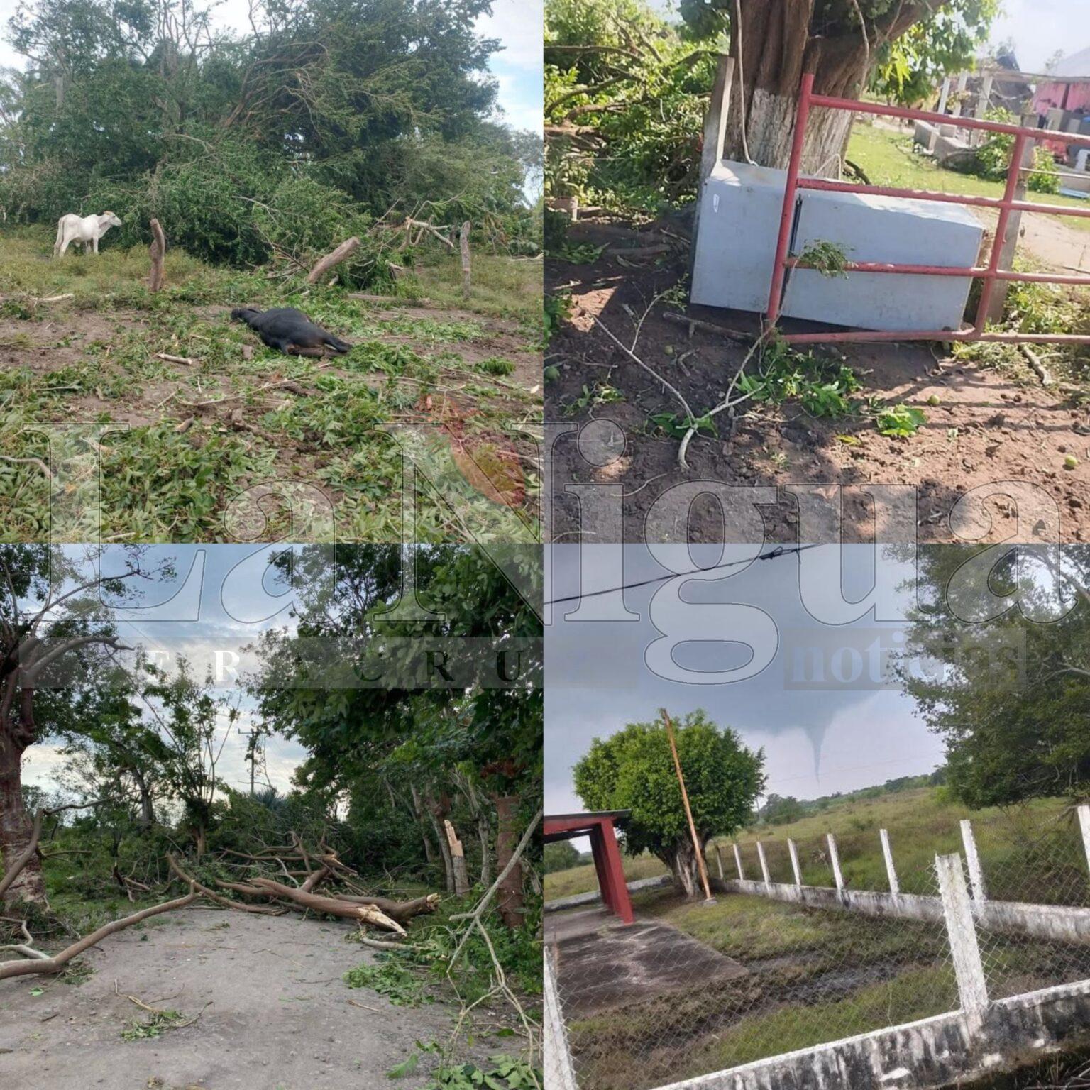 Tornado causa daños y deja sin energía eléctrica a comunidades de Tierra Blanca