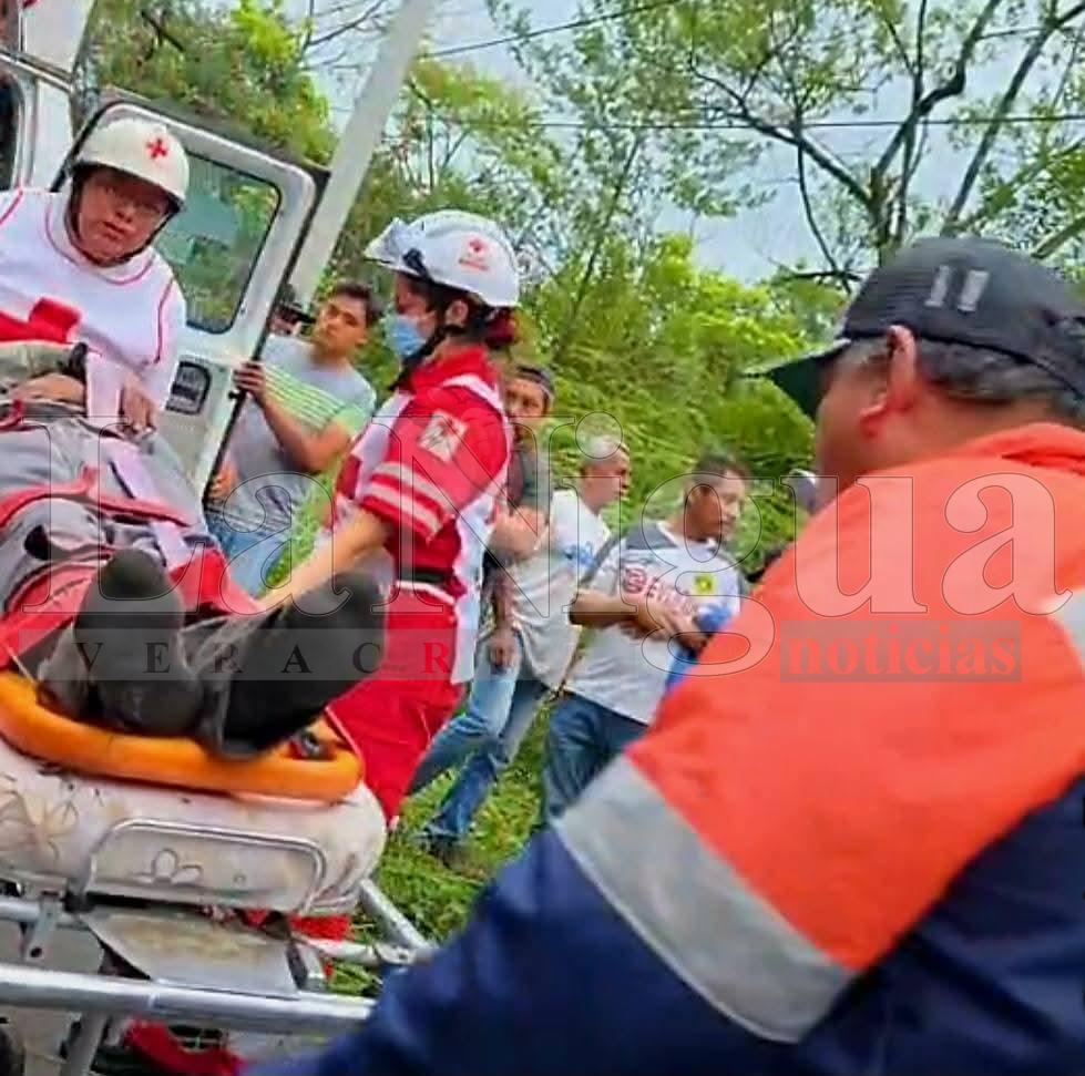 Sobrevive en el fondo de una barranca 4 días. Cayó con su auto y nadie dio cuenta.