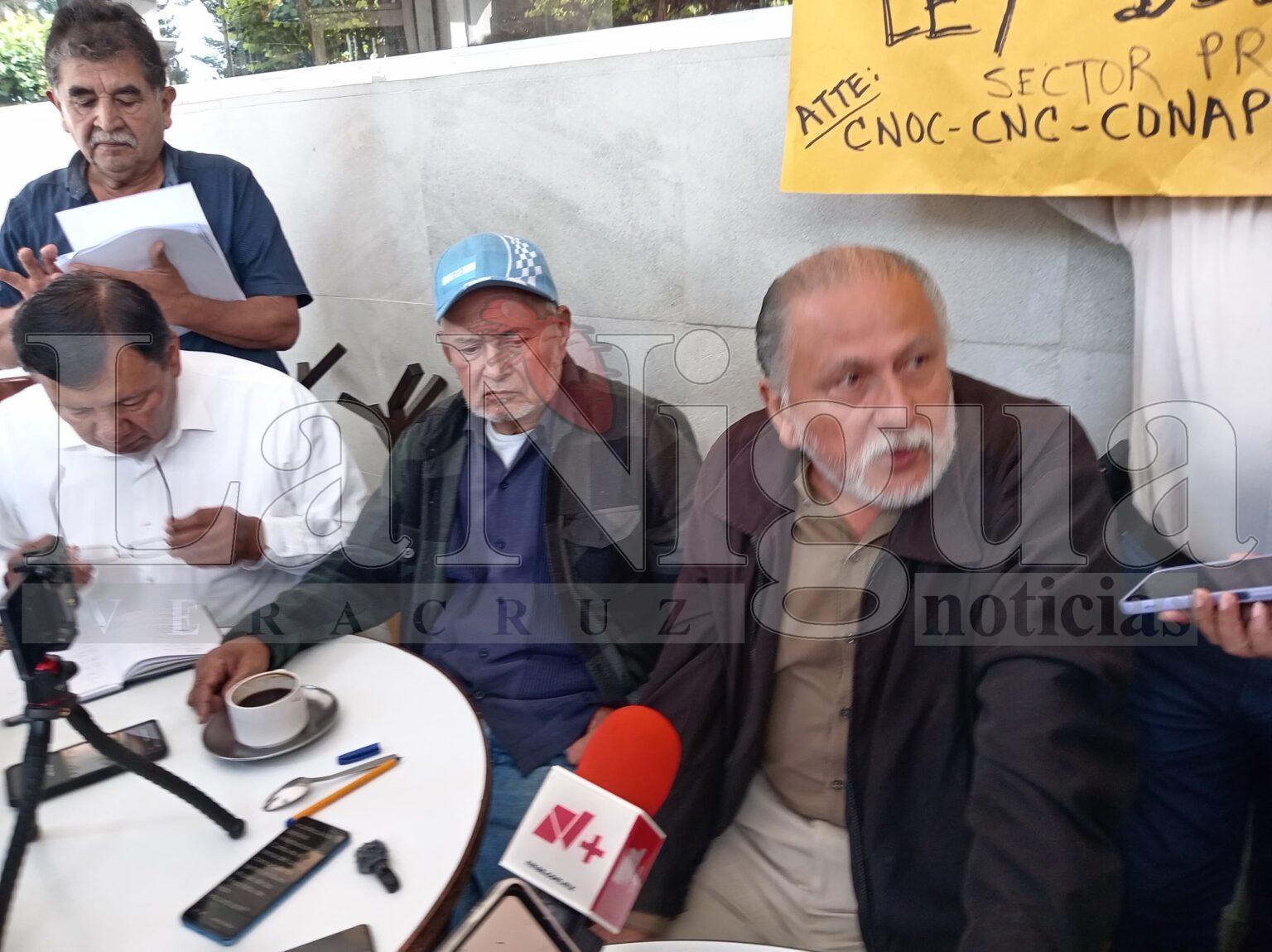 Productores cafetaleros denuncian abusos de comercializadoras y exigen aprobar la Ley del Café