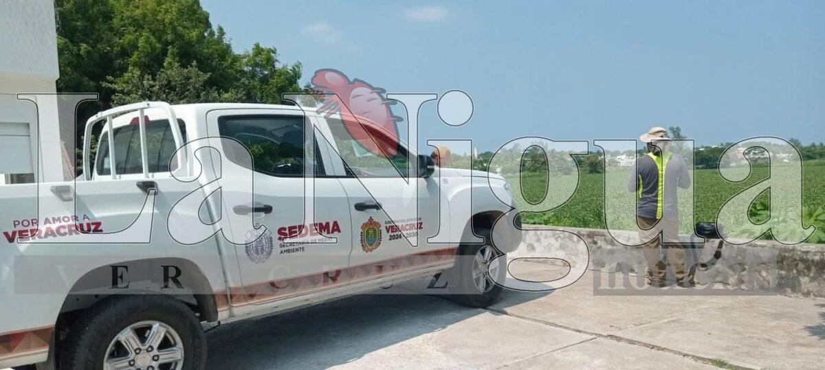 Denuncian a funcionario de Sedema por presunto acoso sexual