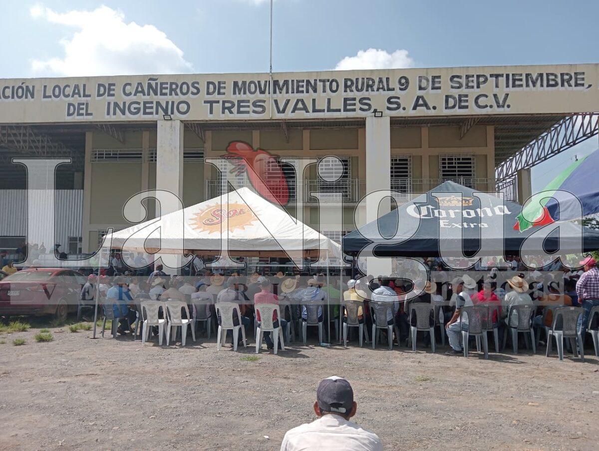 LOGRA MOVILIZACIÓN CAÑERA PARAR IMPORTACIÓN DE AZÚCAR PROTEGE CLAUDIA EL MERCADO NACIONAL. 156 POR CIENTO DE ARANCEL AL AZÚCAR EXTRANJERA.