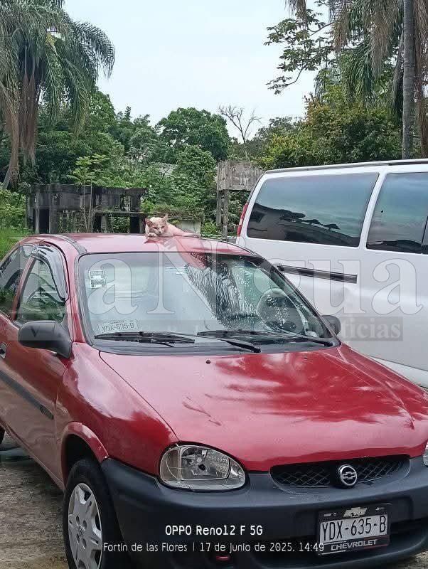 Roban vehículo durante la madrugada en Fortín ante la falta de presencia policial