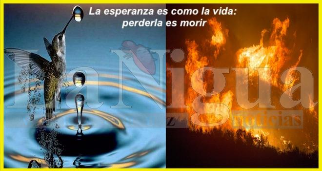 Triunfa alcalde socialista en Nueva York.