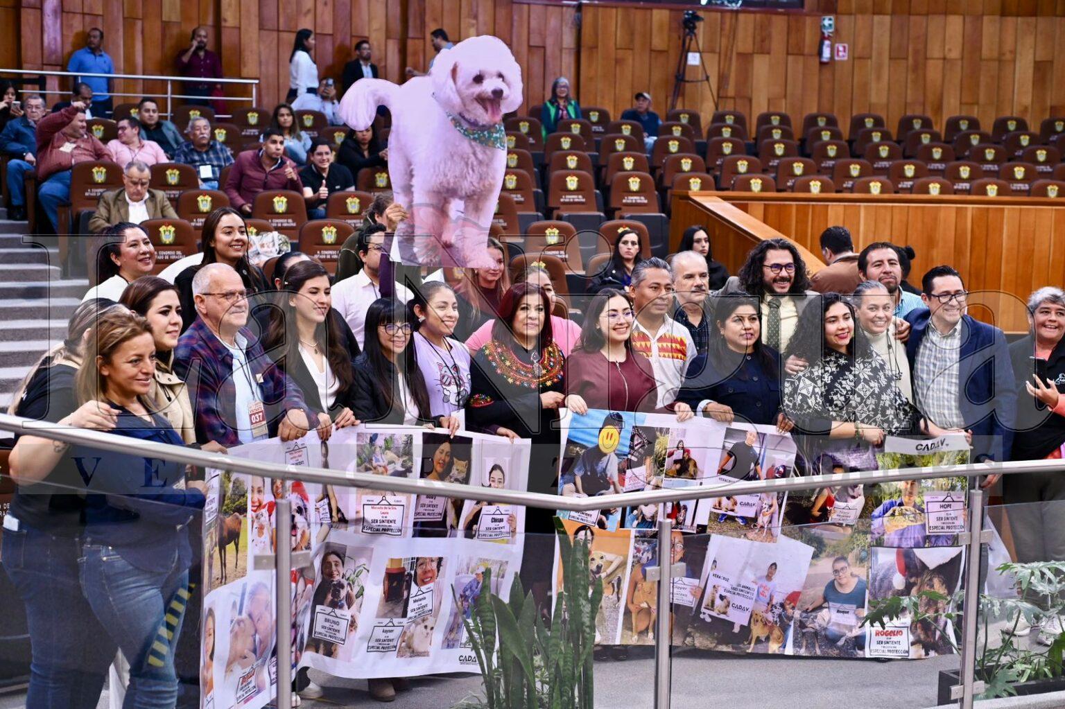 Congreso eleva a rango constitucional la protección a los animales