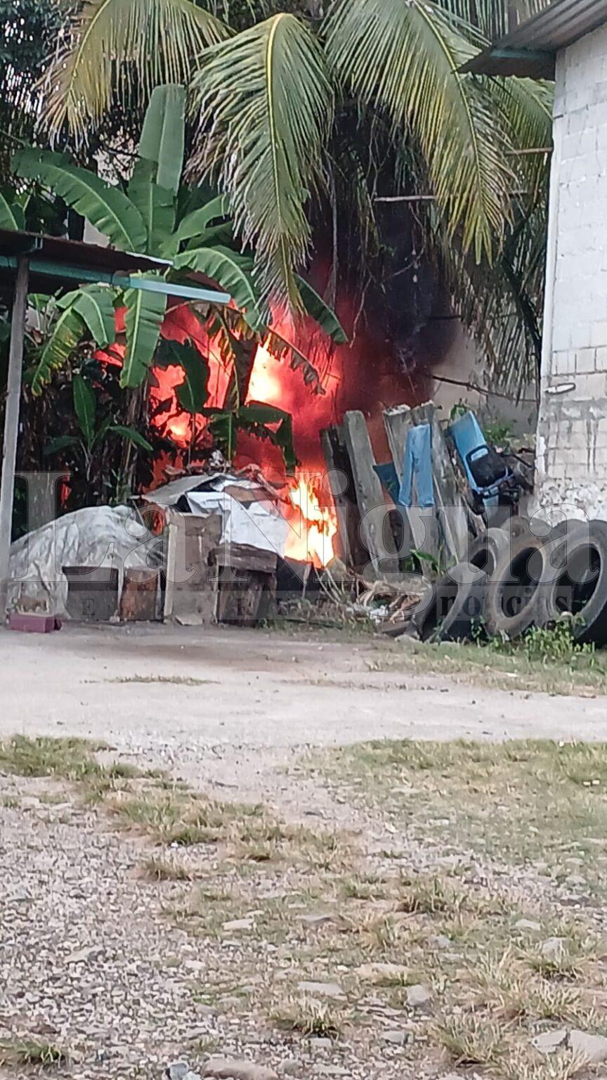 Incendio en terreno particular moviliza a cuerpos de emergencia en Yanga