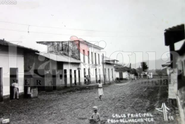 LA TOMA DE PASO DEL MACHO