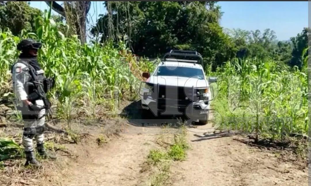 Aumentan los Restos Humanos Recuperados en Fosa Clandestina de Tuxpan; Hallan Cuatro Víctimas