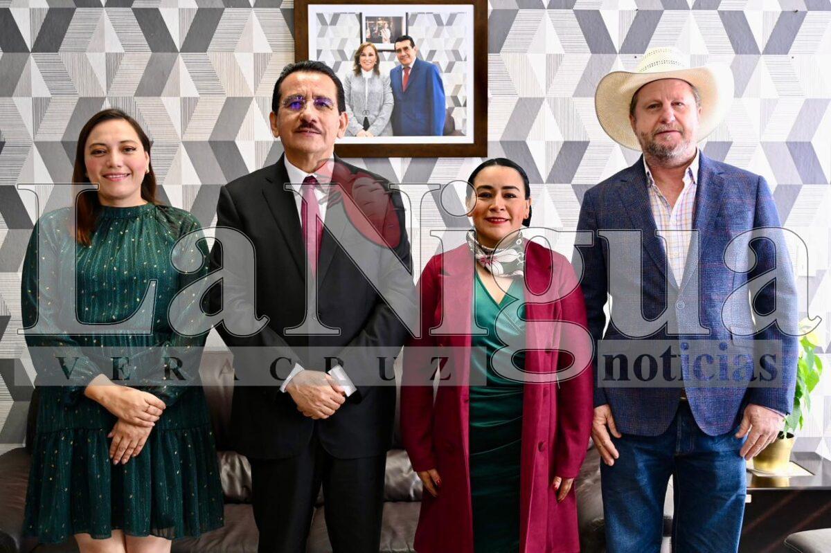 Grandes inversiones para un campo más justo, próspero e igualitario: Sedarpa