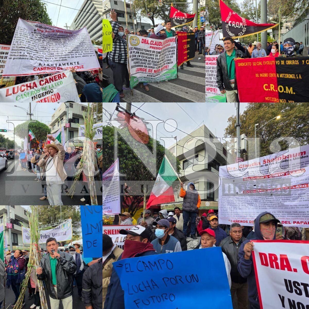 Cañeros continuarán negociaciones este miércoles